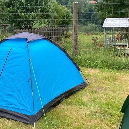 Camping F Selbstversorger Gut Jaegerhof Adults Only Semriach Kültér fotó